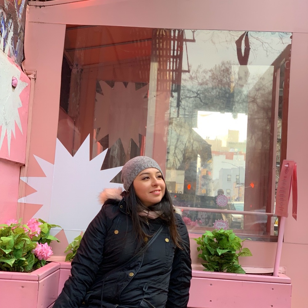 Meet your Posher, Ana gabriela